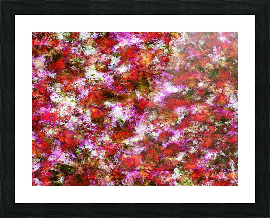 Roses Picture Frame print
