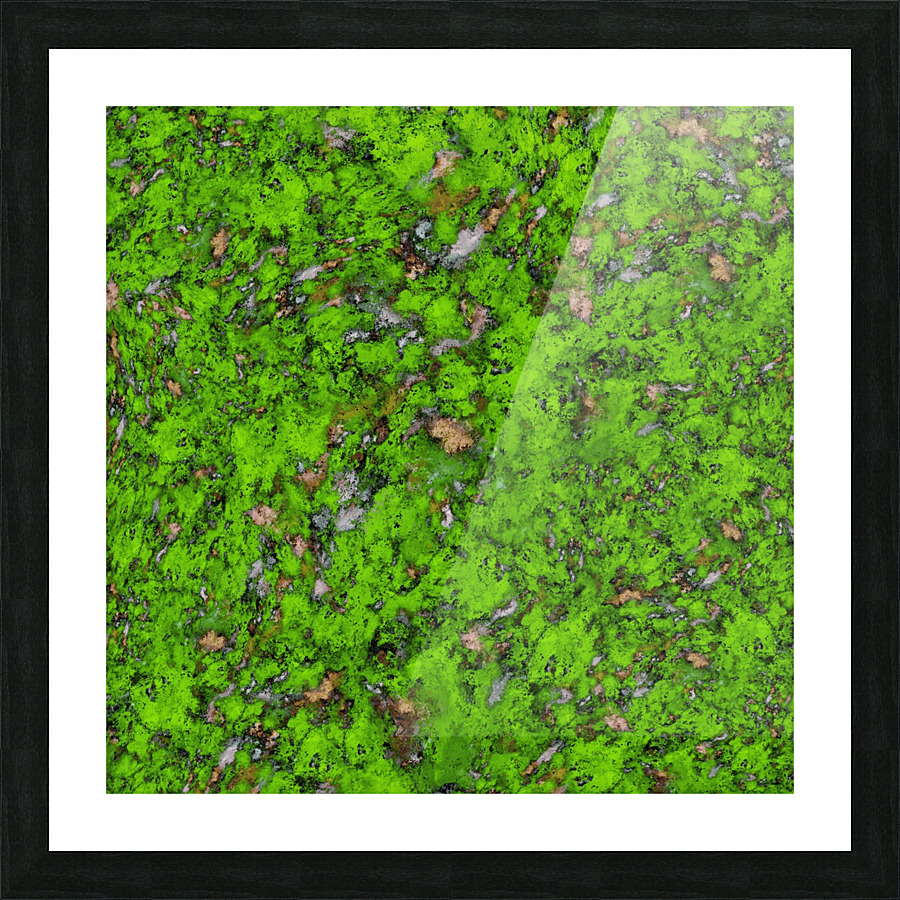 Big mossy wall Picture Frame print