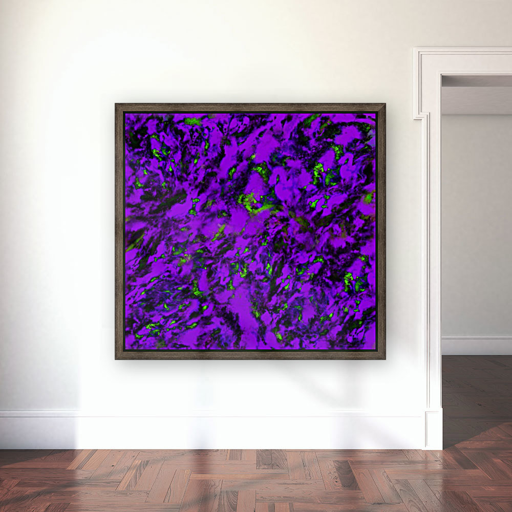 Fluttering purple Reproduction