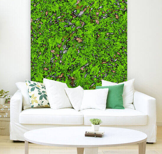 Big mossy wall Reproduction