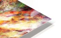 Back to the fires HD Metal print