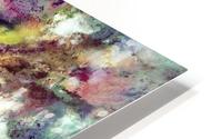 Raspberry rocks HD Metal print