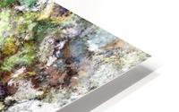Scratching the surface HD Metal print