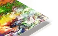 Snap HD Metal print