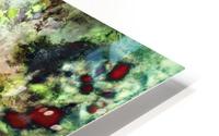 Sugar coated HD Metal print