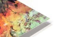 Under the surface HD Metal print