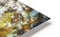 Winter sunlight HD Metal print