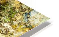Finding yellow rocks HD Metal print