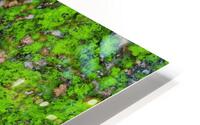 Big mossy wall HD Metal print