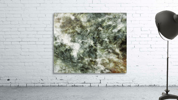 Hidden wolves Wall Preview