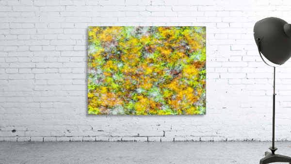 Scrambled eggs Wall Preview