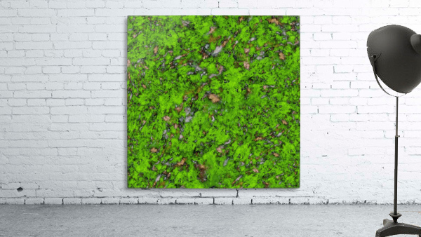 Big mossy wall Wall Preview