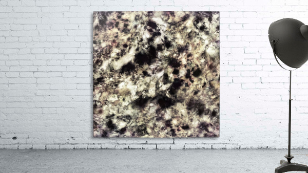 Only Wall Preview