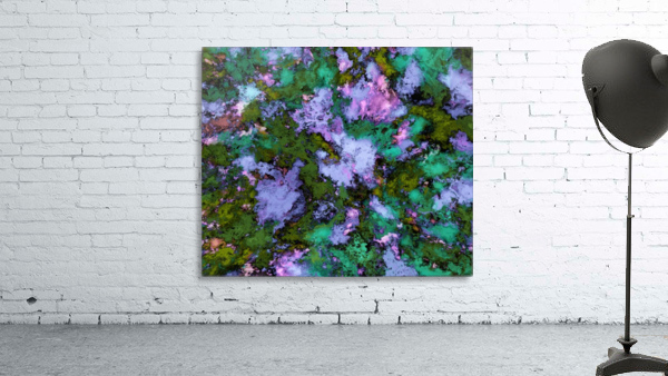 Scatter Wall Preview