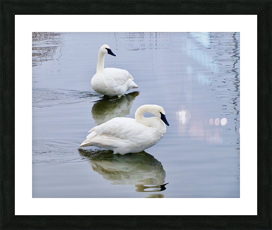 DSC1139 Picture Frame print