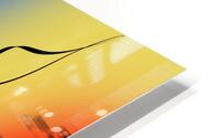 IMG 1332 HD Metal print