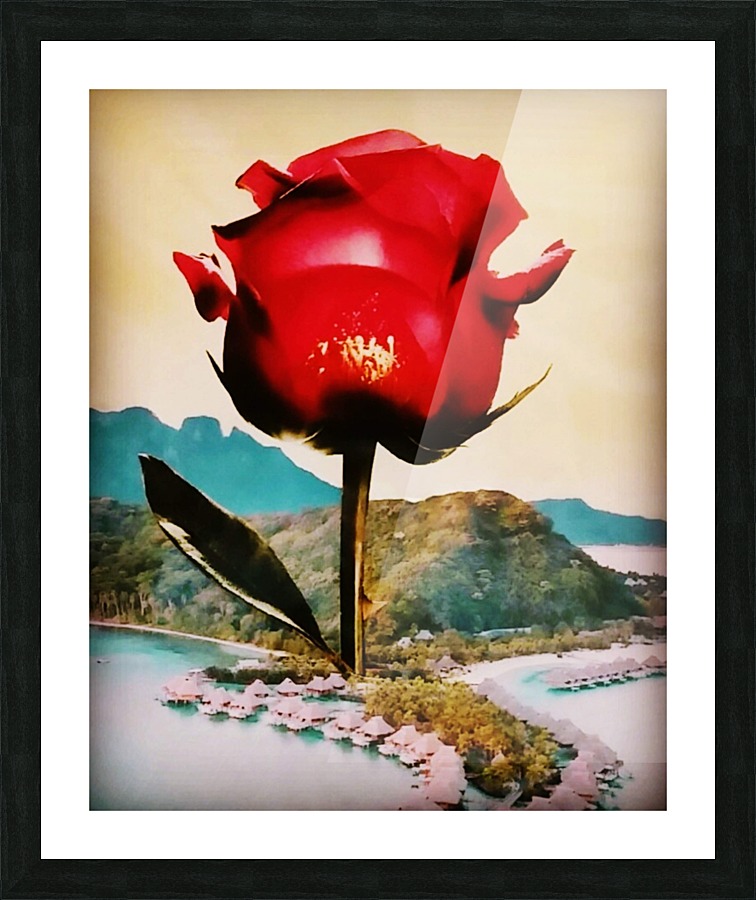 rose island Picture Frame print