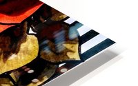 Rosey HD Metal print