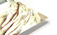 angel wings HD Metal print