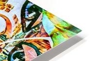 erotic dj HD Metal print