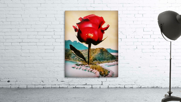 rose island Wall Preview