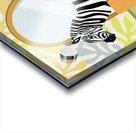 Zebra Bathing Acrylic print