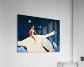 Night Flight Acrylic Print