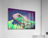 DBD - Not Fred Acrylic Print