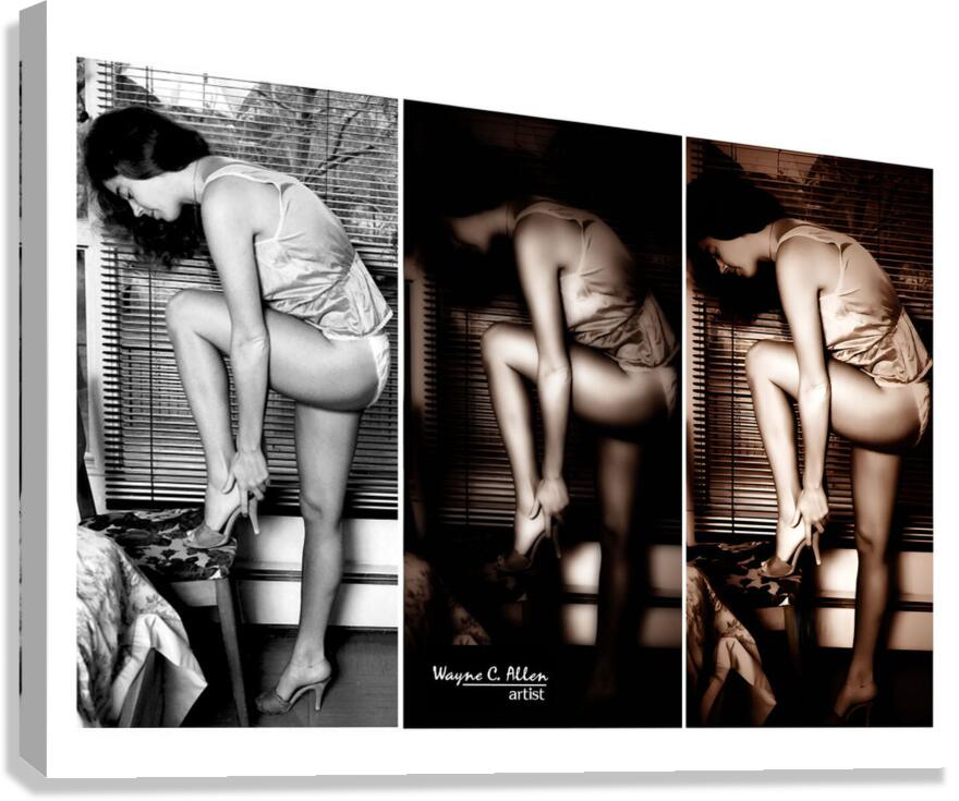 Stockings Tripled Canvas Print