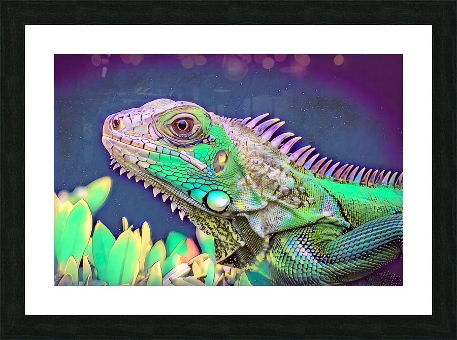 DBD - Not Fred Picture Frame Printing