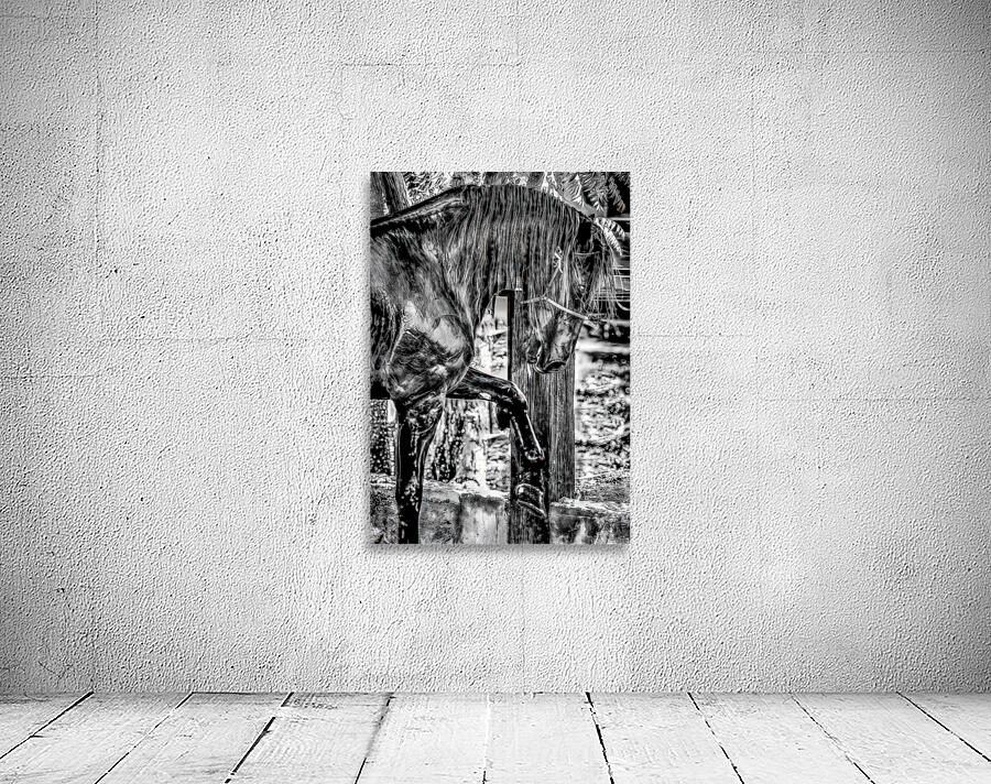 untitled 5 Wall Preview