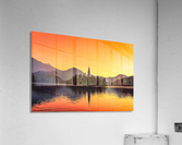 BLED 01 Acrylic Print