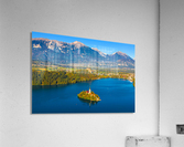 BLED 02 Acrylic Print