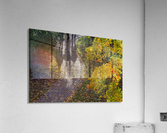 AUTUMN 02 Acrylic Print