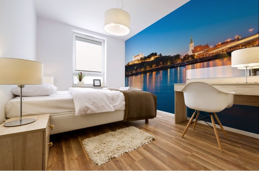 BRATISLAVA 05 Mural print