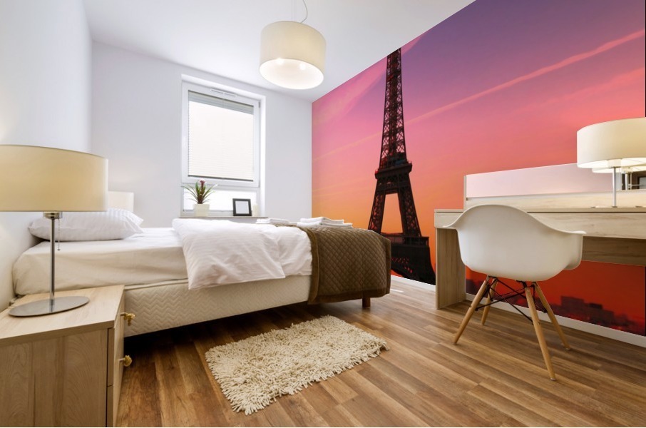 PARIS 03 Mural print