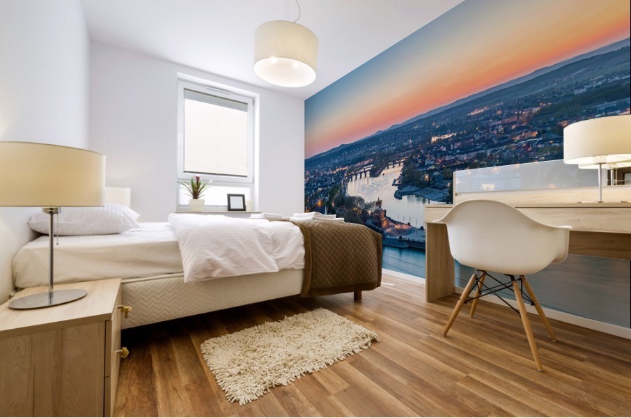 KOBLENZ 01 Mural print