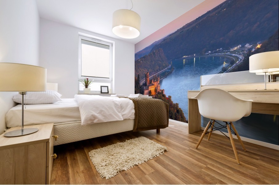 THE RHINE 03 Mural print
