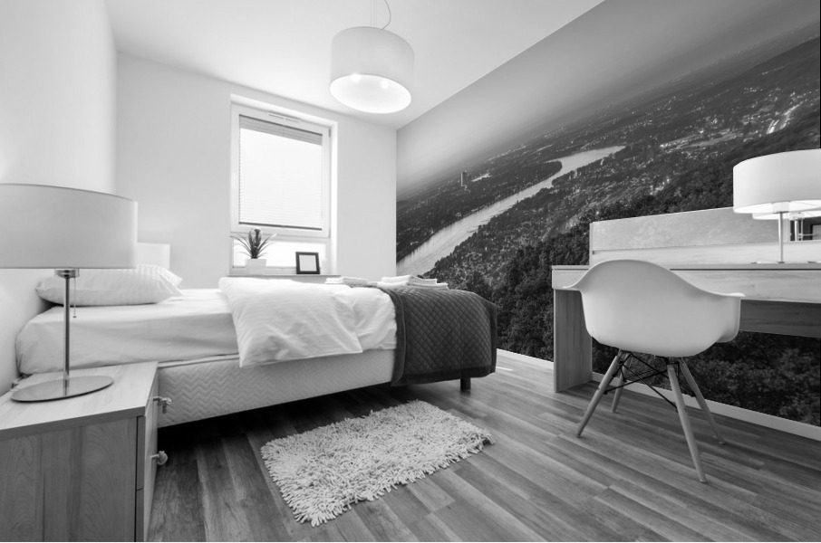 THE RHINE 06 Mural print