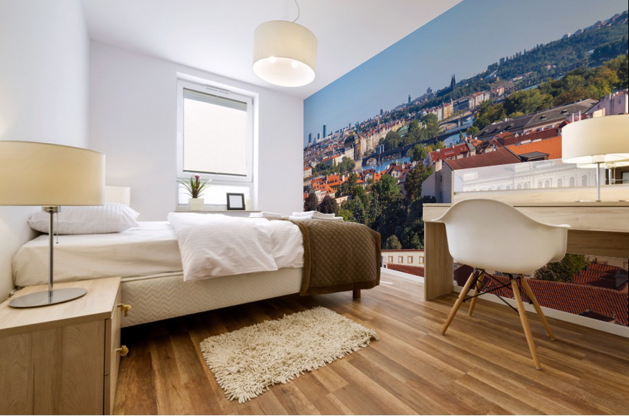 PRAGUE 09 Mural print
