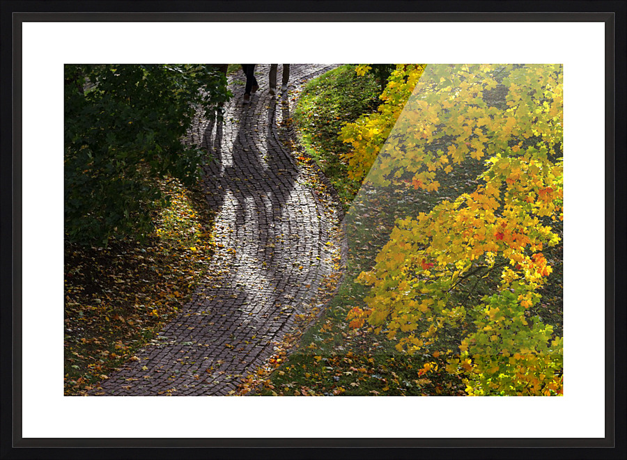 AUTUMN 02 Picture Frame print