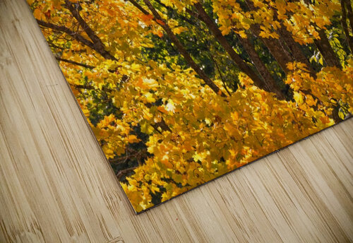 AUTUMN 03 Tom Uhlenberg puzzle
