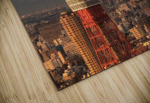TOKYO 28 Tom Uhlenberg puzzle