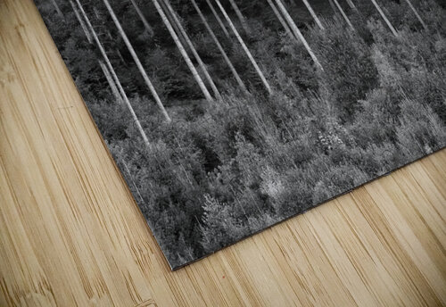 FOREST 01 Tom Uhlenberg puzzle