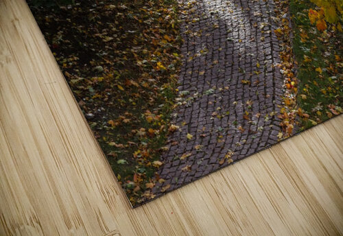 AUTUMN 02 Tom Uhlenberg puzzle