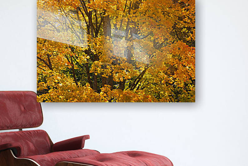 AUTUMN 03 Reproduction