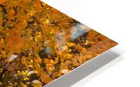 AUTUMN 03 HD Metal print