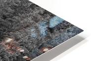 FOREST 01 HD Metal print