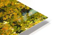 AUTUMN 02 HD Metal print