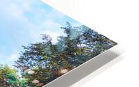 KRAKOW 05 HD Metal print